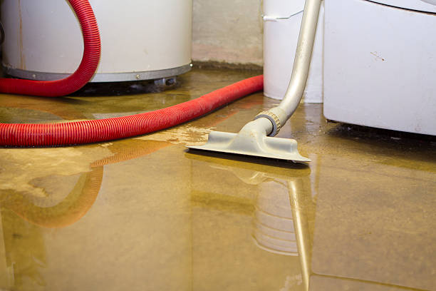 10 Tips for Working with Wilmington, NC Water Damage Restoration Companies