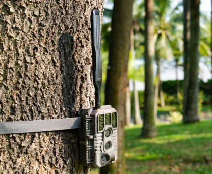 Exploring the Benefits of WiFi Trail Cameras