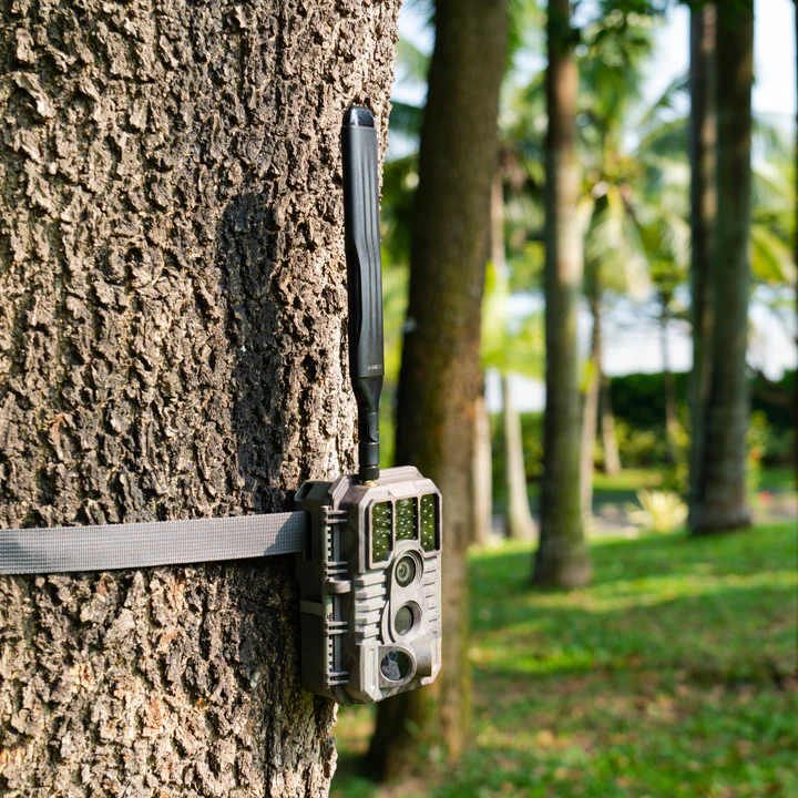 Exploring the Benefits of WiFi Trail Cameras